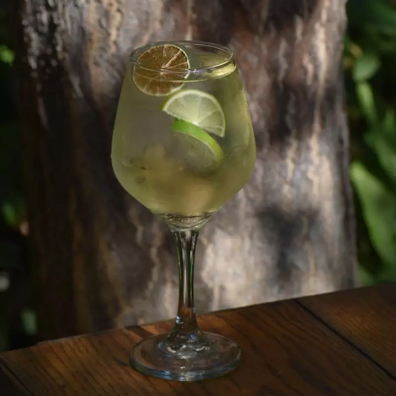 Flor de Sauco Spritz