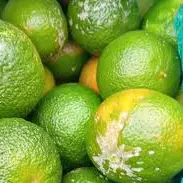 LIMON MANDARINO 6 UDS