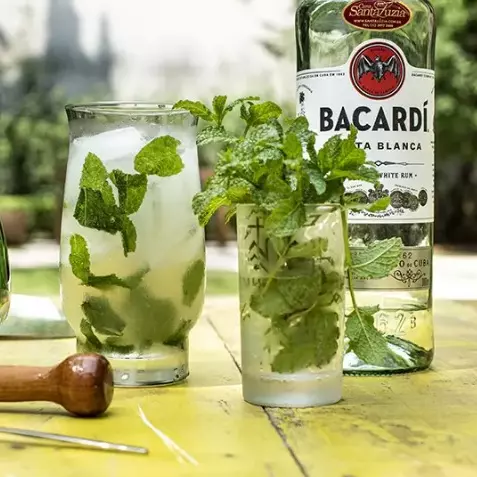 Mojito