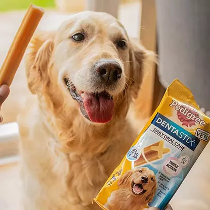 Snacks dentales para perrosDENTASTIX