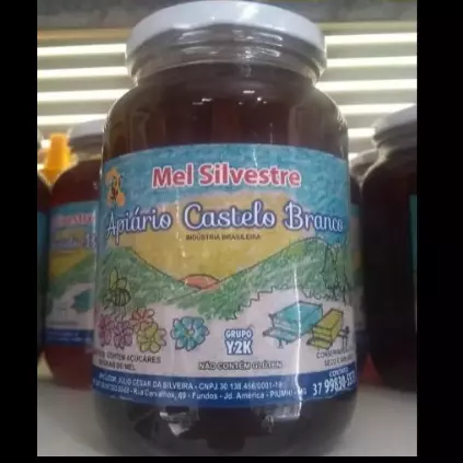 Mel Apiário Castelo Branco Silvestre