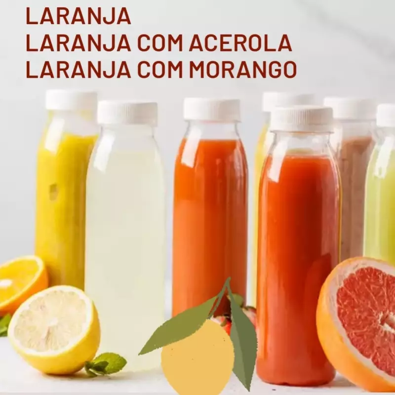 Suco natural 300ml