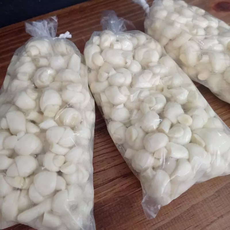 Queijo mini nozinho fresco