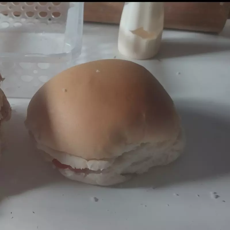 LANCHE KIDS