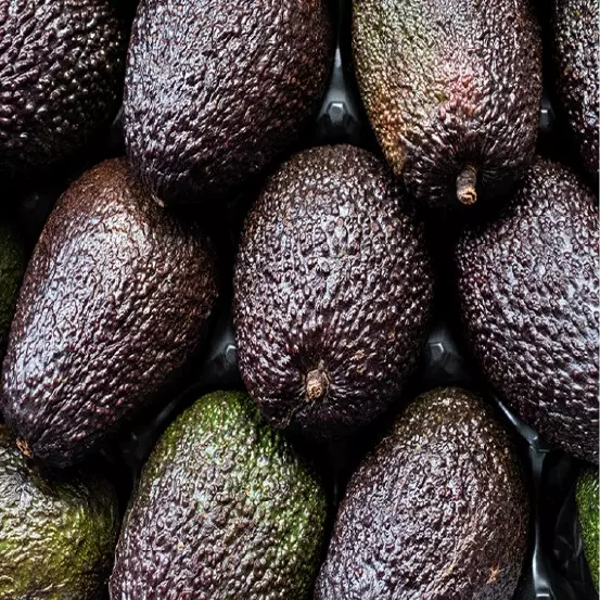 AGUACATE  MEXICO SUPREMO