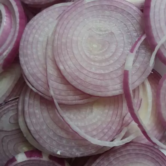 CEBOLA ROXA EM RODELA