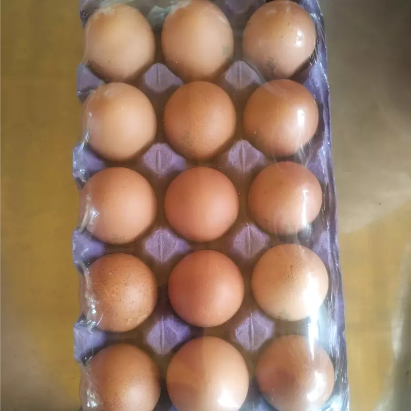 Meia Cartela Ovo Vermelho - Extra