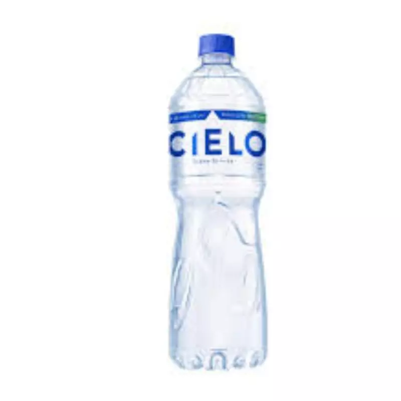AGUA CIELO 500 ML