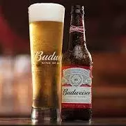 BOTELLIN BUDWEISER (happy hour)