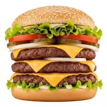 Burger Gran Max.