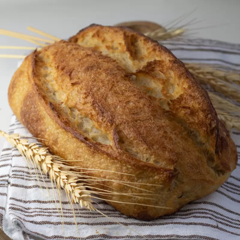 Rústico Tradicional 🌱