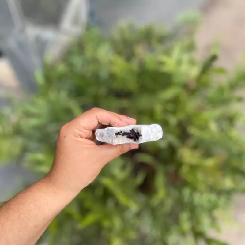 Palha italiana de ninho c Oreo
