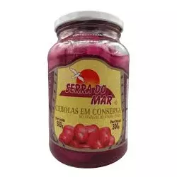Cebola Roxa em Conserva Serra do Mar