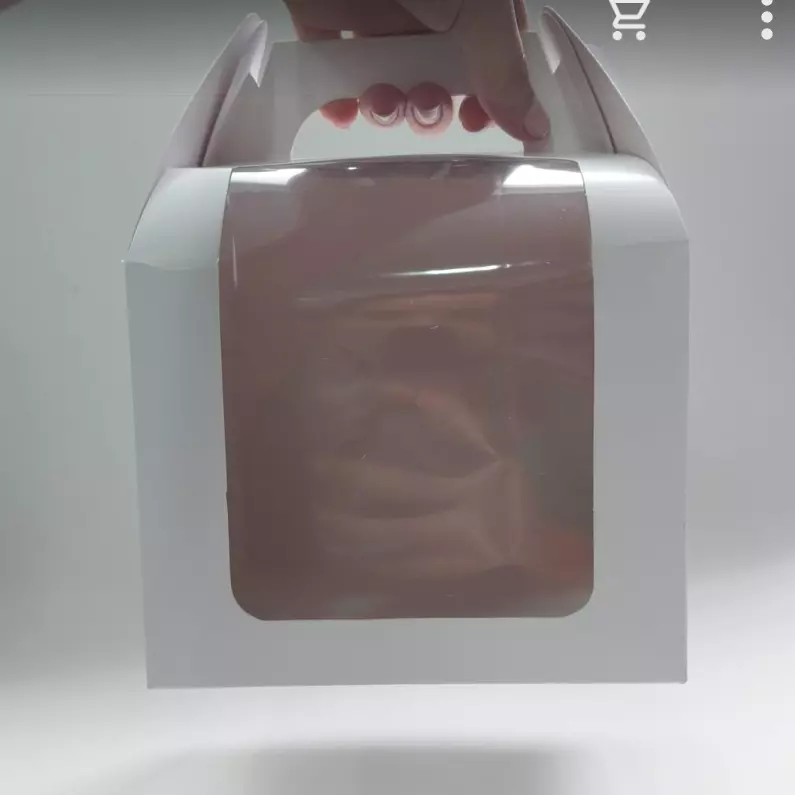 Lonchera carton acetato cl