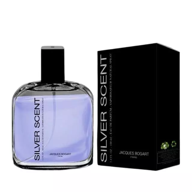 Perfume masculino Silver scent 100ml