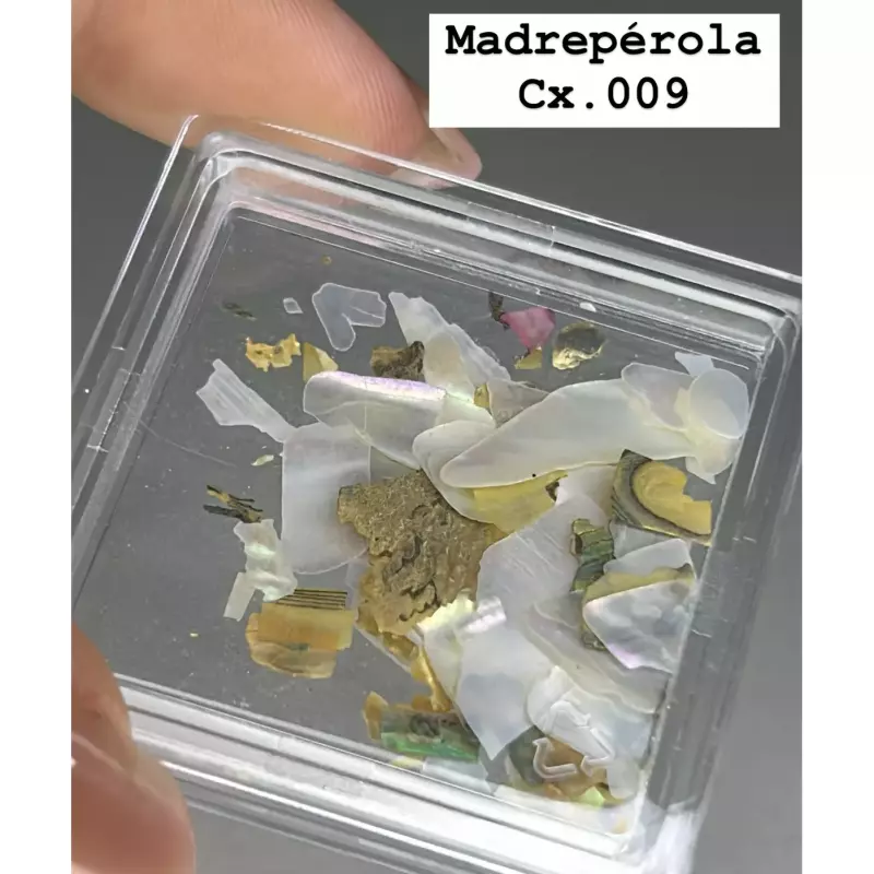 Pote Madrepérola Cx.009