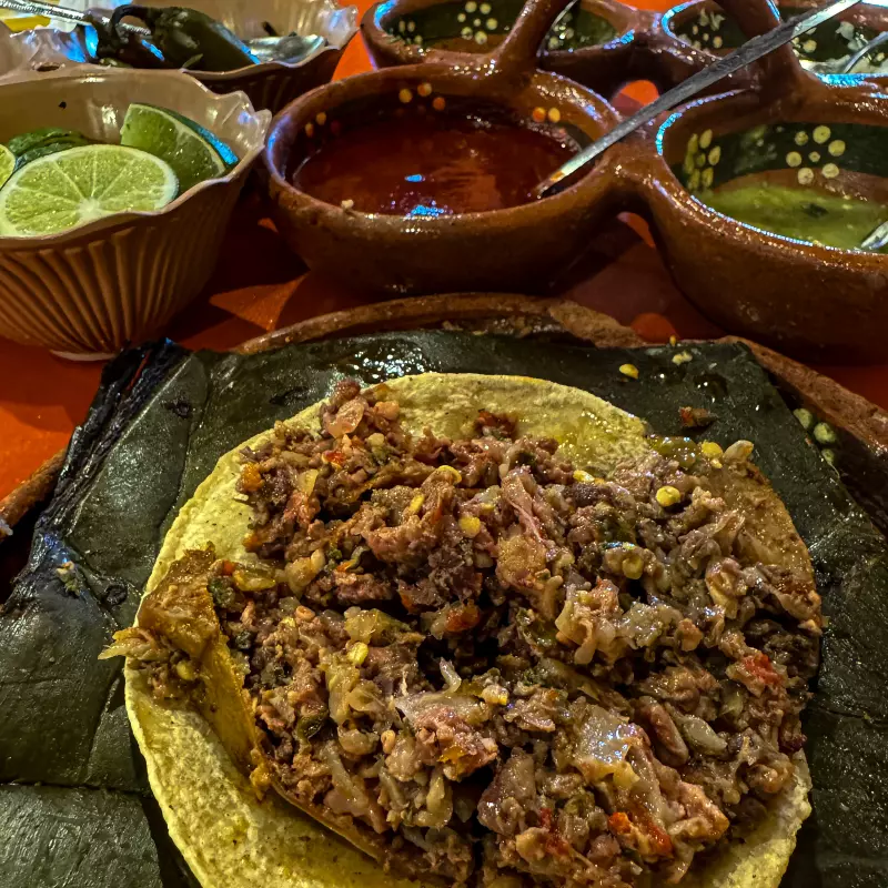 TACO DE BARBACOA PANCITA