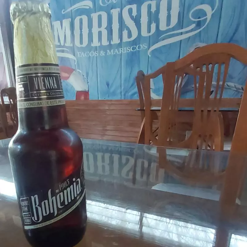 BOHEMIA OSCURA Y CRISTAL