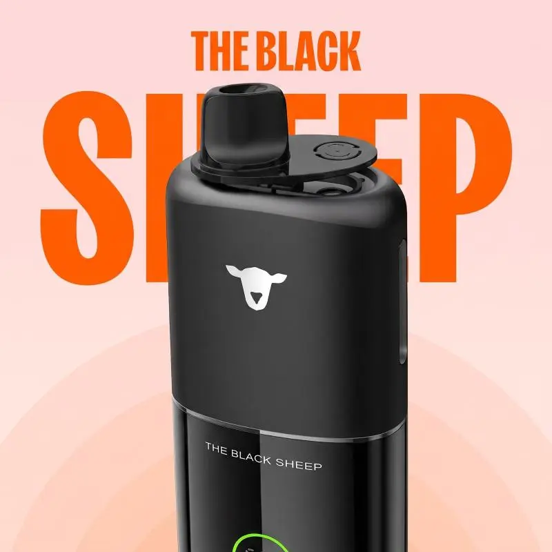 KIT BLACK SHEEP DUO MIX | 30K PUFF