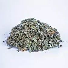 Alcachofra