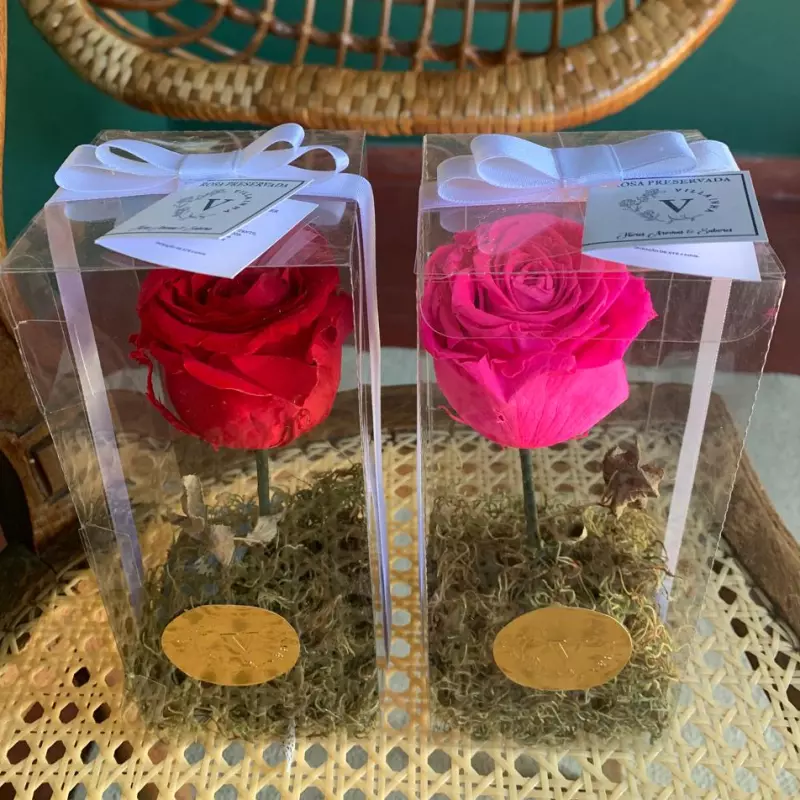Rosa Preservada