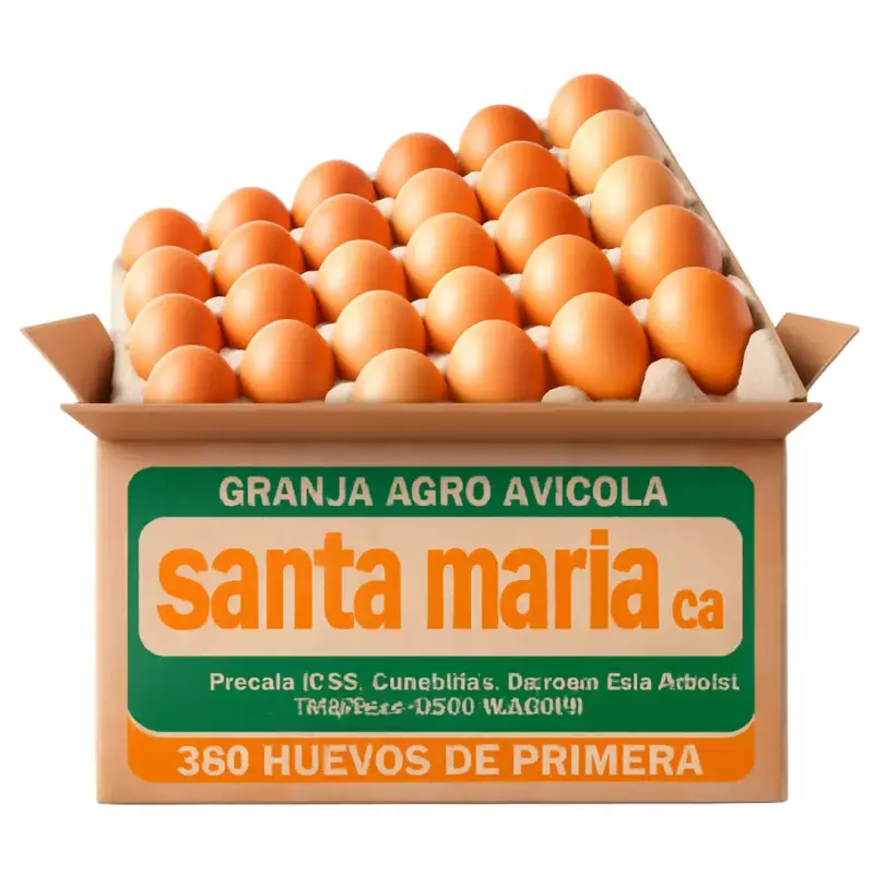 HUEVOS SANTA MARIA AA