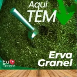 MENTA LIMÃO KG