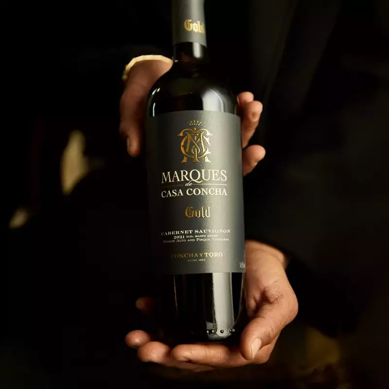 Marques casa concha gold