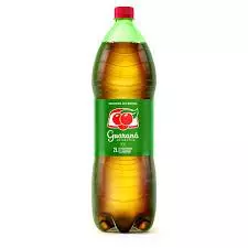 GUARANÁ ANTARCTICA  2L