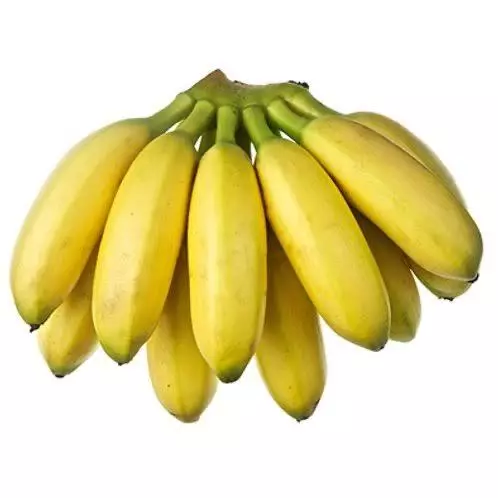 Platano Dominico