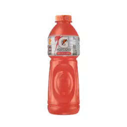 Gatorade Frutas Cítricas - Pet 500ml