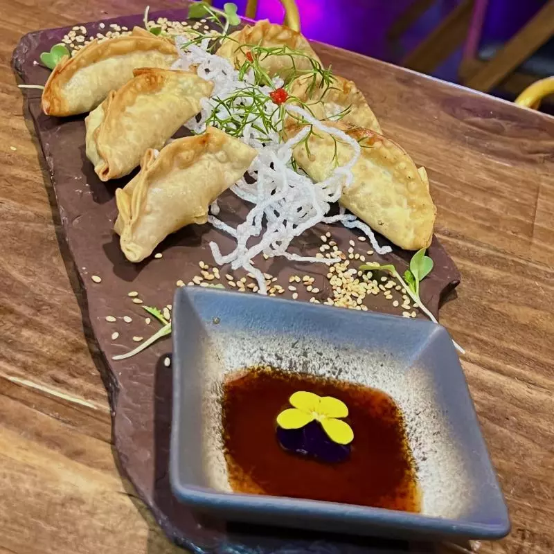 Gyozas Discordia