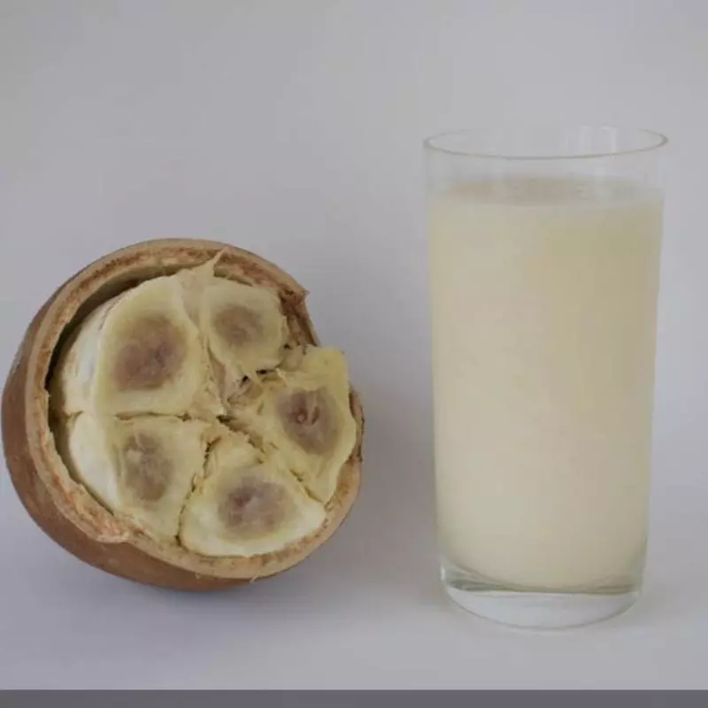 Suco natural 300ml cupuaçu c/Leite