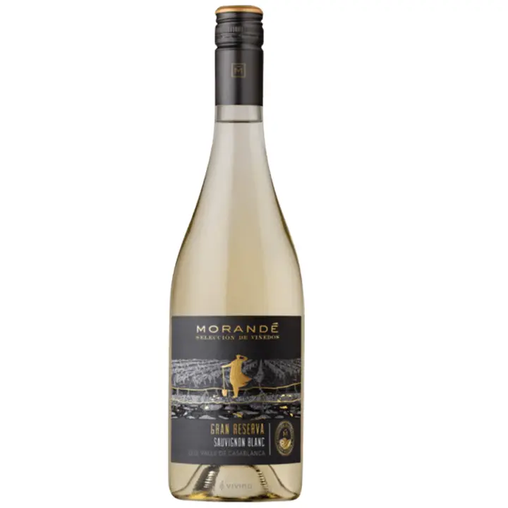 Vinho Morandé Gran Reserva Sauvignon