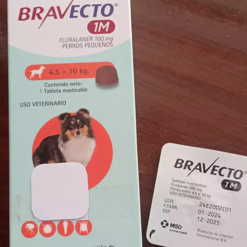 Bravecto ®️ 1 month
