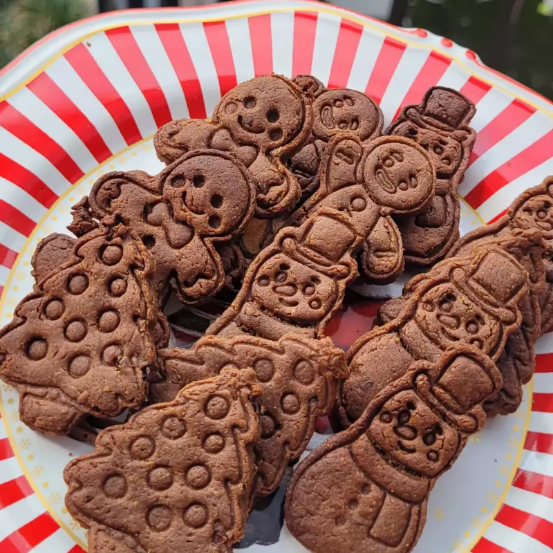 Biscoito de cacau 100g