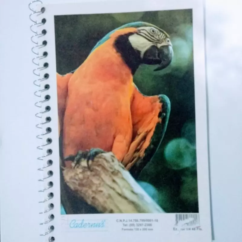Caderno Espiral 1/4 - Cadernu's