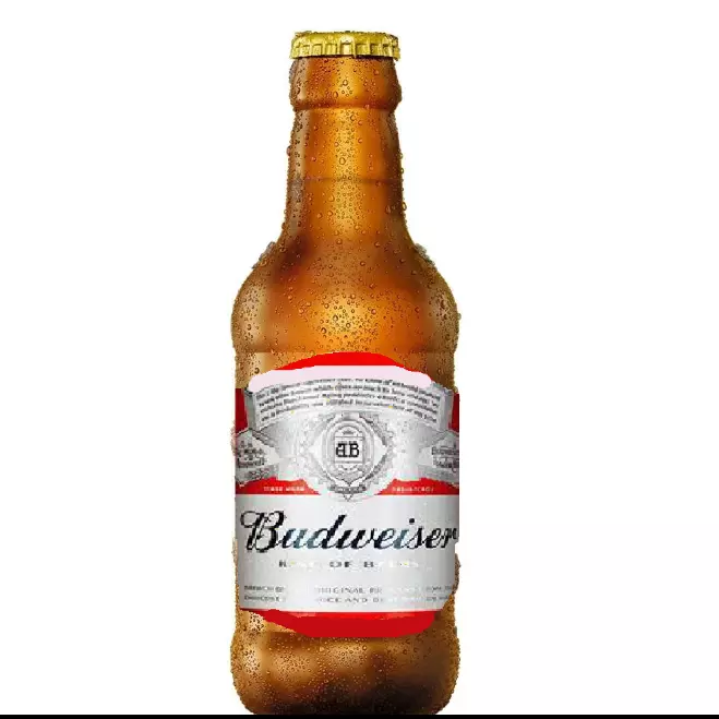 Litrinho Budweiser 300 Ml