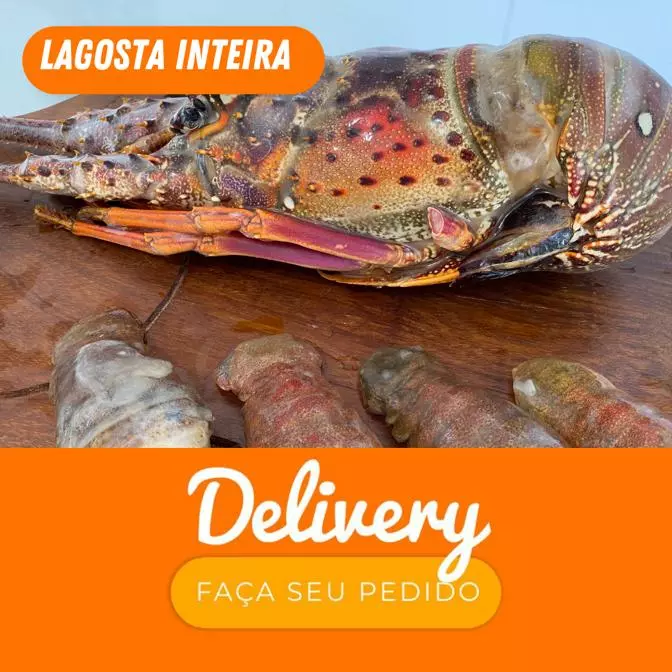 Lagosta Inteira kg