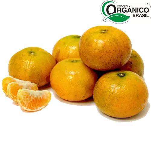 Mexerica Orgânica 100g