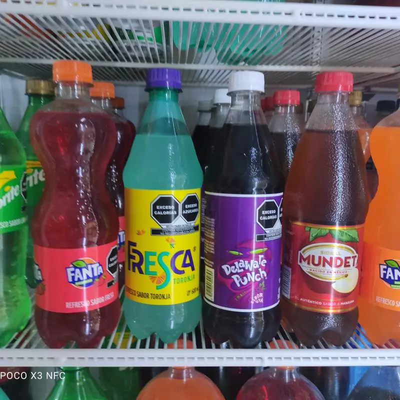 Refrescos 600 ML sabor