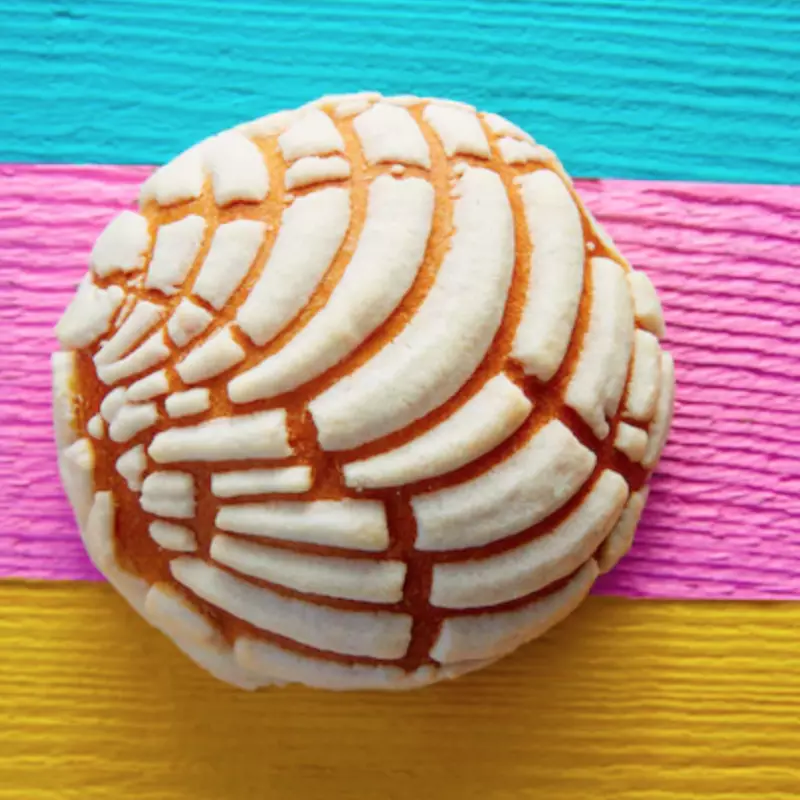Conchas mexicanas