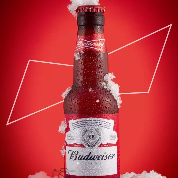 BUDWEISER ✨