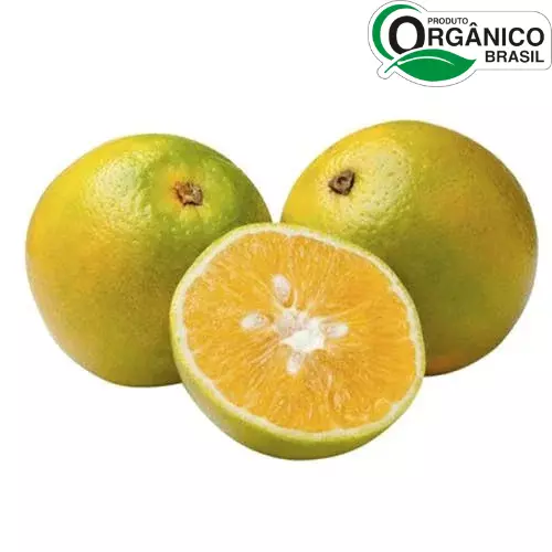 Laranja Pera Orgânica