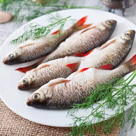 Pescado de plato 5lb