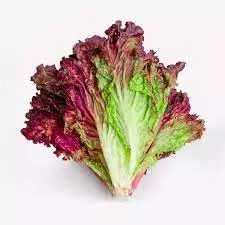 Lechuga Morada x 250g (122)