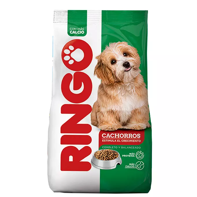 Ringo - Cachorro 30k