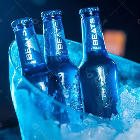 FARDO SKOL BEATS SENSES LONG NECK