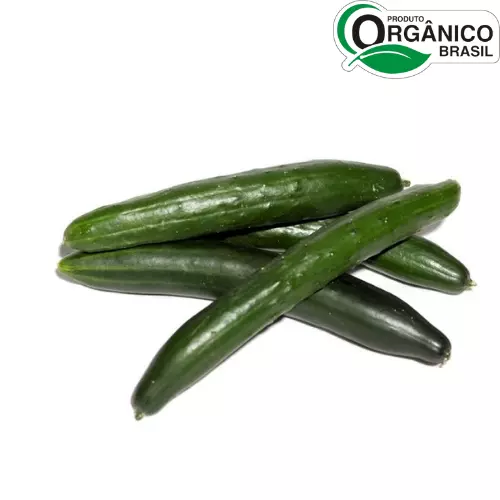 Pepino Japonês Orgânico