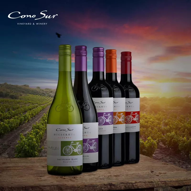 Botella de vino - Cono Sur Bicicleta (750ml)